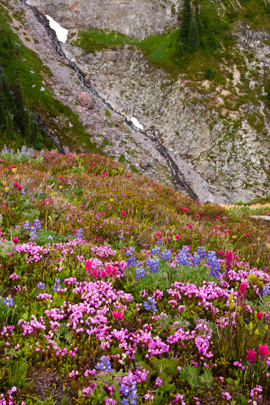 Wildflowers And East Van Trump Park Falls